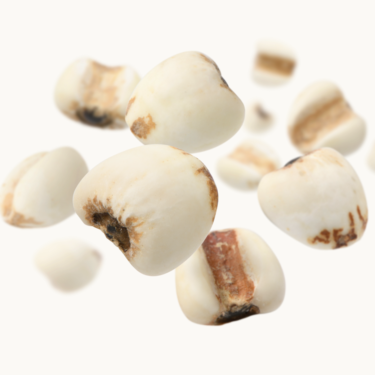 7561f25df4a79571df972a06d9e77048.png?v=1771575956